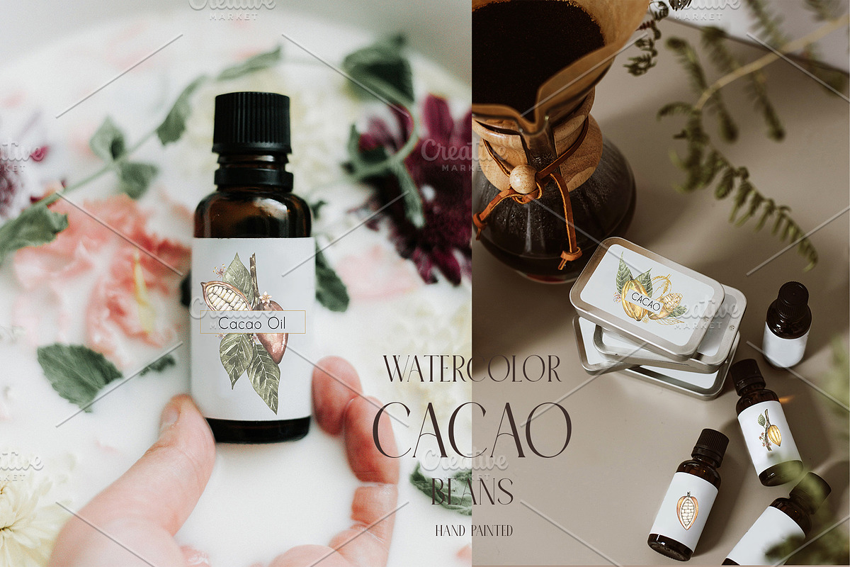 Watercolor Cacao Beans, a Food Illustration by MayaNavits (Photo 4 of 13)