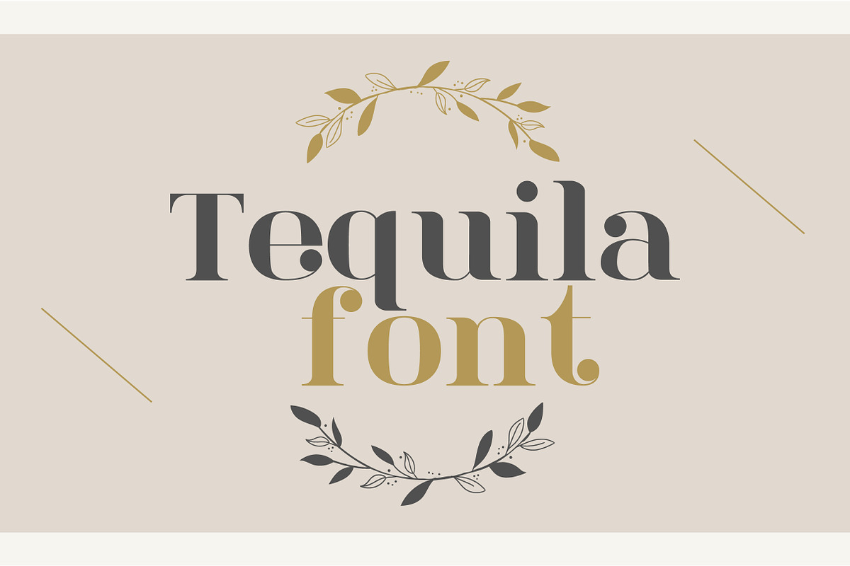 Tequila Modern & Vintage Font, a Serif Font by ErsanK