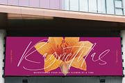 Melodies Sensation Natural Font, a Script Font by stylishtype.co (Thumbnail 13 of 20)