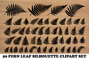 50 Fern Leaf Silhouette Clipart Set, an Illustration by Artivon