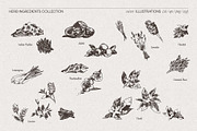 Botanical Herb Ingredients, a Healthcare Illustration by TheMountBirdStudio (Thumbnail 8 of 10)
