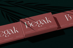 Bagek - Modern Display Serif