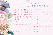Virgi Ella - Lovely Calligraphy Font, a Script Font by StringLabs (Thumbnail 11 of 13)