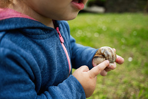 Child observing a snail in a natural grassy outdoor setting, a Person Photo by AS photostudio