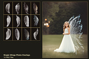 Angel Wings Overlays, a Photo by HappyNews (Thumbnail 3 of 11)