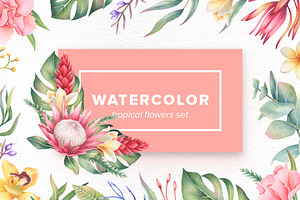 Watercolor Tropical Flowers Set