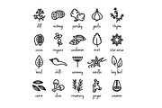 400+ outline FOOD ICONS, an Outline Icon by marusdesign (Thumbnail 15 of 24)