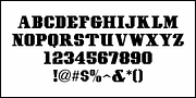 Modern West JNL, a Serif Font by Jeff Levine Fonts (Thumbnail 3 of 5)