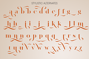 Amigh - Modern Serif Font, a Serif Font by 177Studio (Thumbnail 8 of 8)