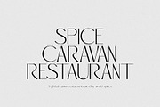 Ravelle - Elegant & Luxury Sans, a Font by Mikhail Kitsune (Thumbnail 3 of 8)