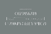 Emellda, a Serif Font by Kenrichi (Thumbnail 3 of 12)
