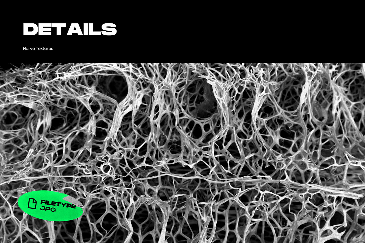 Nerve Textures, a Texture Graphic by ZUITag (Photo 7 of 9)