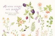 Charming meadow - woodland clipart, a Decorative Illustration by polikarpovaart (Thumbnail 7 of 30)