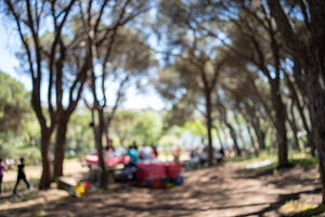 Anonymous people at picnic spot in forest during sunny day, a Photo by andreonegin market