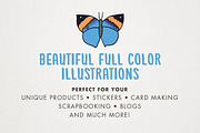 Butterflies of the World, a Decorative Illustration by Lemonade Pixel (Thumbnail 5 of 7)