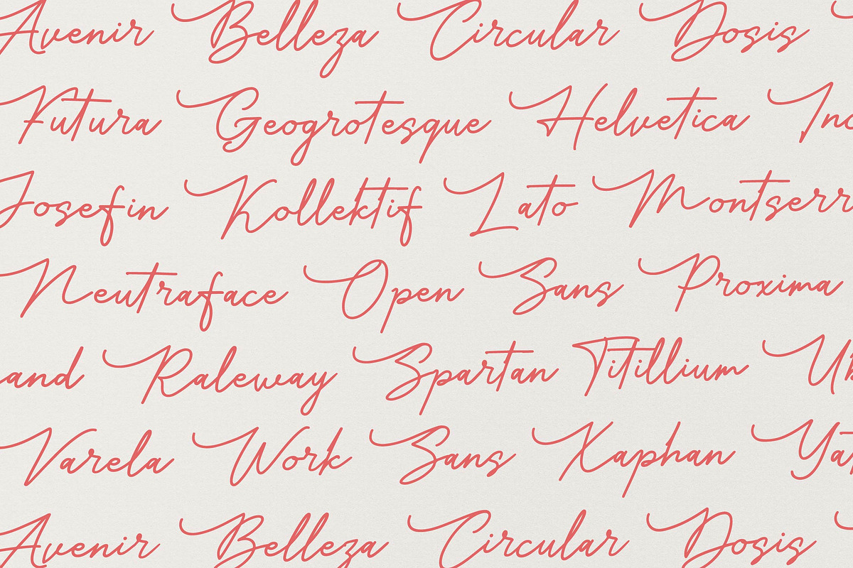 Maffenia Farmales | Monoline Stylish, a Script Font by Denustudios (Photo 9 of 14)