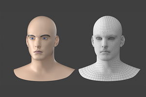 Natural Male Head 01 Generic Mesh