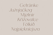 Clio - Clean Display Sans, a Sans Serif Font by Harmonais Visual (Thumbnail 20 of 22)