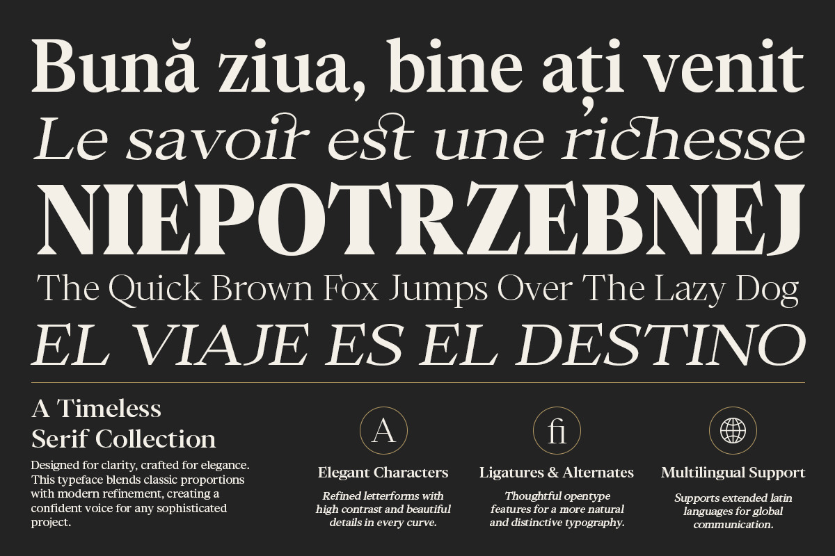 Chipno, a Serif Font by Attract Studio (Photo 12 of 16)