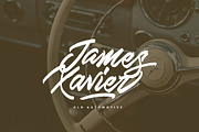 Skywalker Logotype 25% OFF (UPDATE), a Script Font by Dirtyline Studio (Thumbnail 5 of 16)