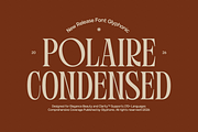GC Polaire - Serif Display Condensed, a Serif Font by Glyphonic (Thumbnail 16 of 16)