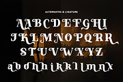 Ataraxia, a Serif Font by HATFSTUDIO (Thumbnail 8 of 8)