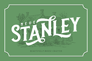 Neue Stanley, a Serif Font by Twicolabs Fontdation (Thumbnail 1 of 11)