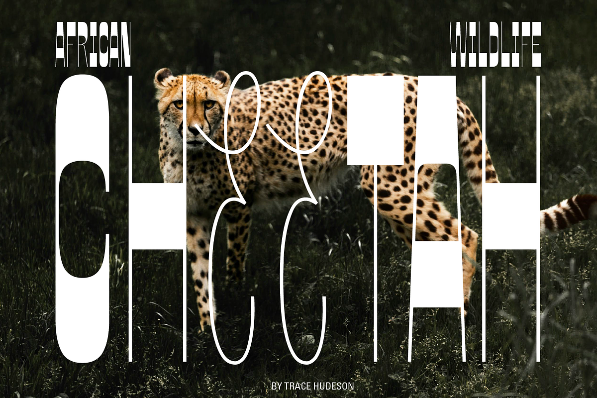 JT Bloore | Heading Font, a Sans Serif Font by Jolicia Type (Photo 12 of 13)
