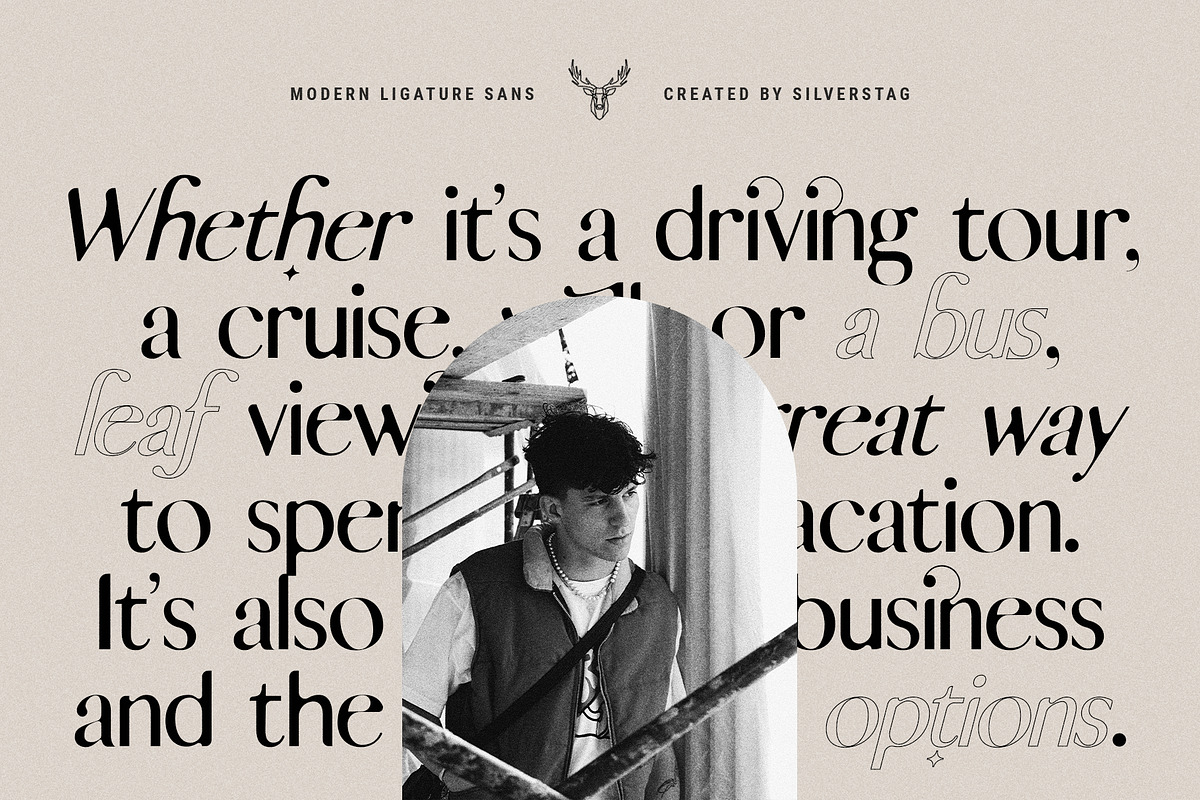 skylar - ligature sans font family, a Sans Serif Font by SilverStag Type Foundry (Photo 10 of 20)
