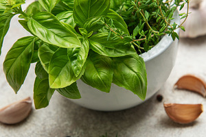 Fresh herbs and spices in mortar with pestle on kitchen table, a Food & Drink Photo by Olena Rudo