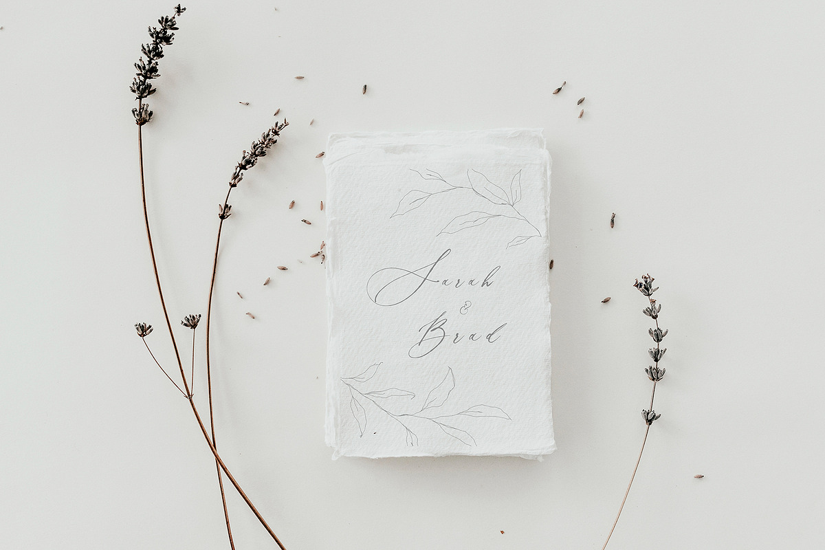 Botanical leaves - sketched florals, a Decorative Illustration by Madiwaso (Photo 14 of 14)