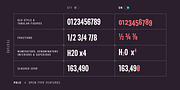 Palo, a Sans Serif Font by TypeUnion (Thumbnail 15 of 17)