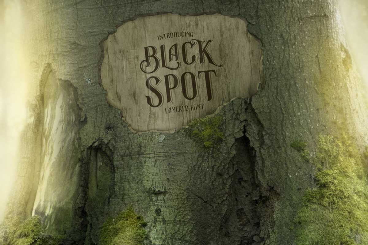 Black Spot Vintage Display Font, a Serif Font by vatesdesign (Photo 7 of 9)