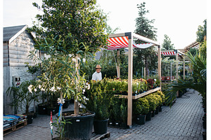 Garden center owner standing among, a Nature Photo by HalfPoint