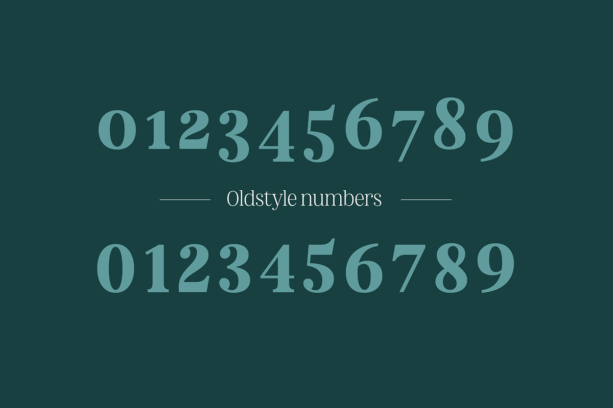 Nevoa Bold, a Serif Font by OceaneM (Photo 5 of 7)
