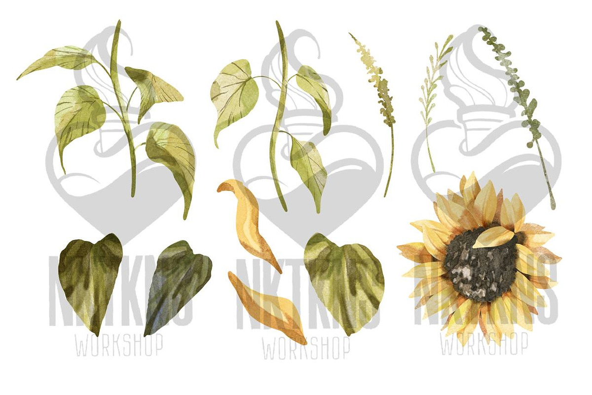 Sunflowers Watercolor Clipart., a Decorative Illustration by NKTKNS (Photo 3 of 6)