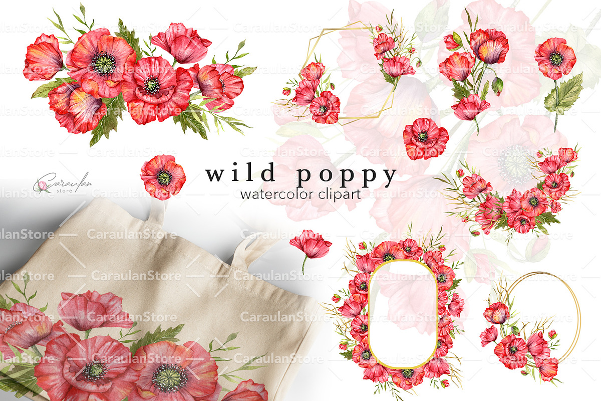Red Poppy Watercolor Clipart, a Decorative Illustration by CaraulanStore (Photo 1 of 11)