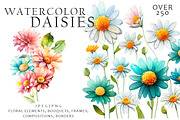 Watercolor Daisies Flowers Clipart, an Object Illustration by Evgeniia (Thumbnail 1 of 8)