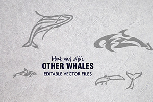 20 Whale Tribal Designs Bundle