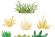 450+ NATURE PROCREATE STAMPS, a Brush Add-On by BeeRubby (Thumbnail 10 of 10)