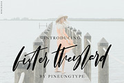 Fister Theylard, a Script Font by pineungtype (Thumbnail 1 of 7)