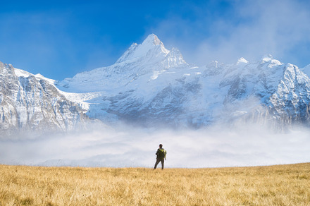Tourist with a backpack in the mount, a Person Photo by Landscape and travel