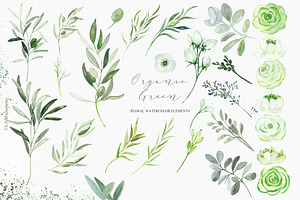 Organic Green Olive Watercolors