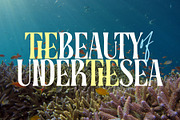 Coral Root - Stylish Serif Font, a Serif Font by Airotype (Thumbnail 2 of 13)