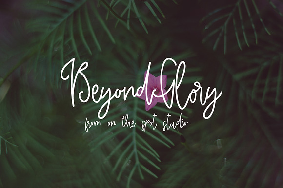 Beyond Glory preview 5