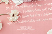 Palmaera - Signature Display Typefac, a Handwritten Font by VASTARD STUDIO (Thumbnail 4 of 12)