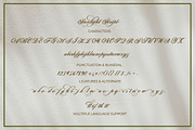 Sunlight Script, a Script Font by Typehill (Thumbnail 11 of 11)