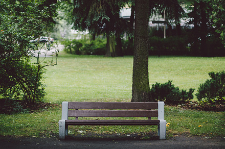 Bench In A Park 1 preview 5