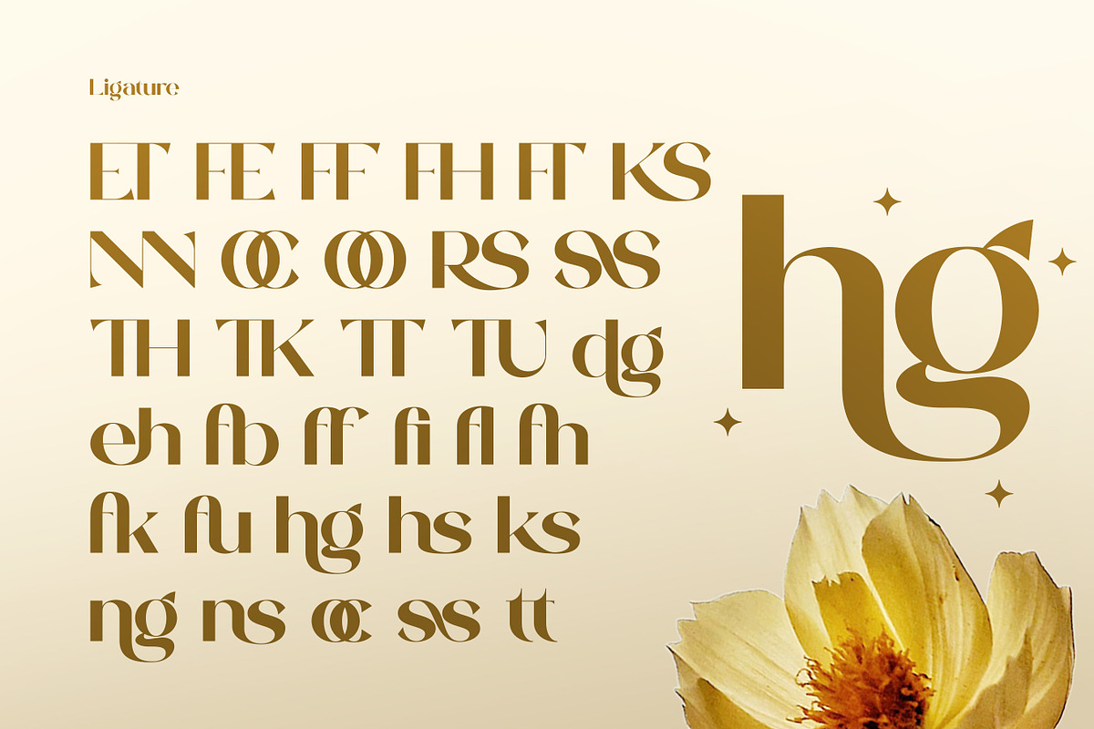 Vangier - Elegant Sans Serif Font, a Sans Serif Font by Flawless And Co (Photo 9 of 10)
