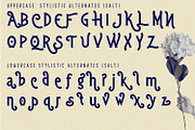 Hittamig - Aesthetic Serif Font, a Serif Font by 177Studio (Thumbnail 5 of 6)